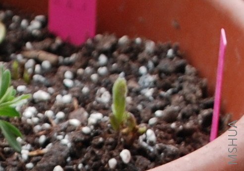 08-12-12İ��C20 ��³��˾.JPG