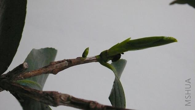 P1000124.JPG