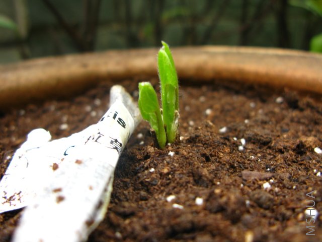081214������.jpg