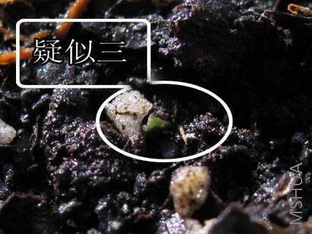 ������,�Ժ�ͣ��.