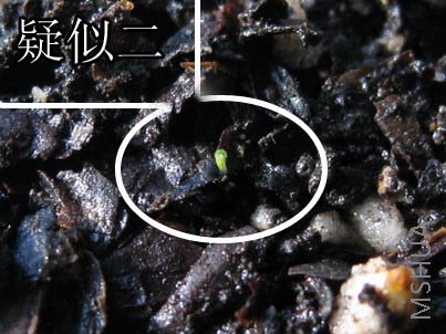 ���ƶ�,�Ժ����ȷ����.