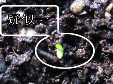 ����һ,�Ժ�����Ӳ�һ.