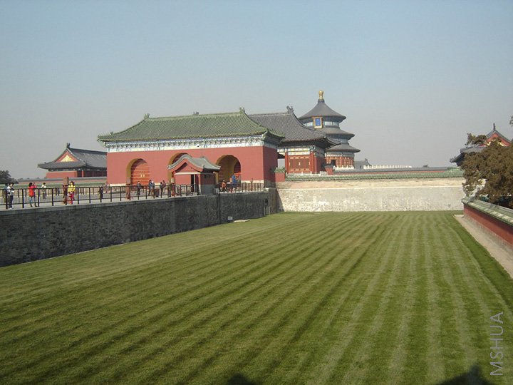 DSC06530.jpg