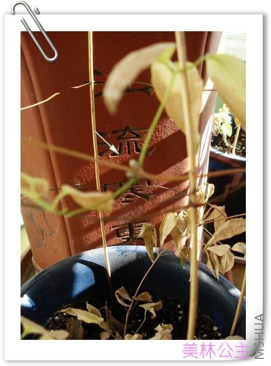 ����һ����д