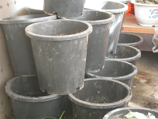 ׼������