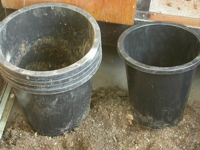 ׼������