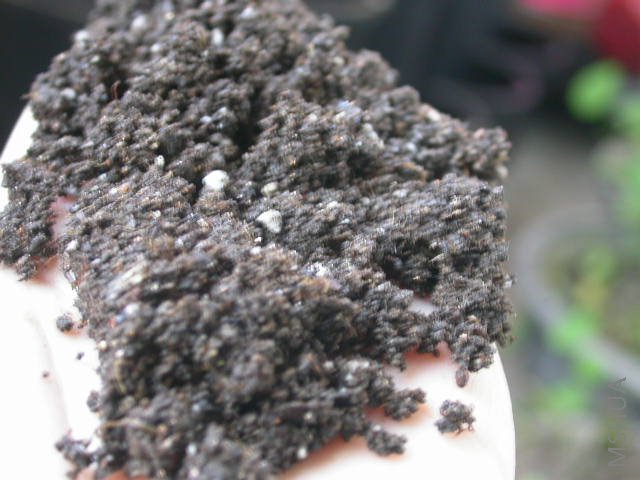 ׼�����õ���