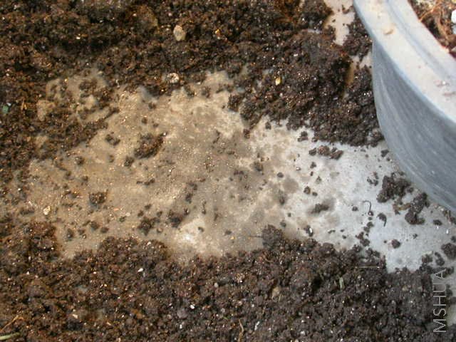 �����ü����Ӻ󣬵���ı���