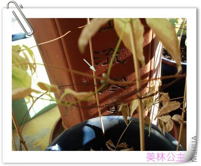 ��ͷ��λ�����˰ɣ��ٺ٣�