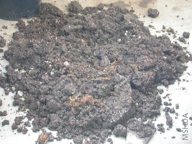 ��ú��ˮ�����