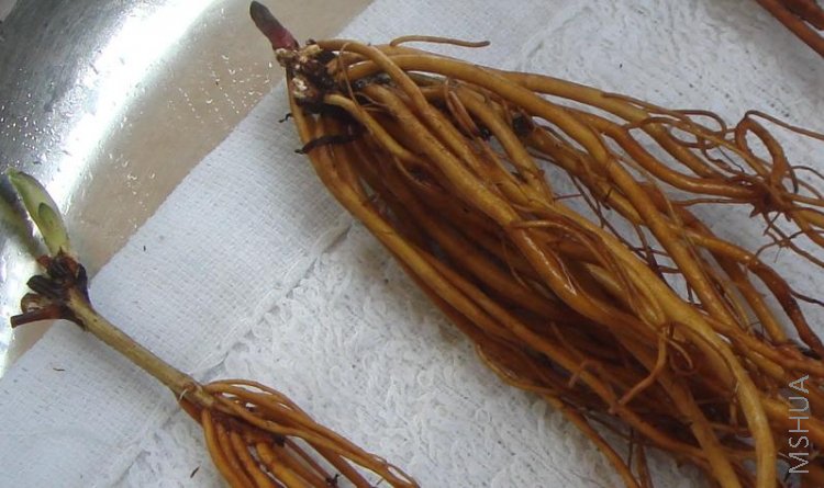 ��ë���Ϸ��� 3.JPG