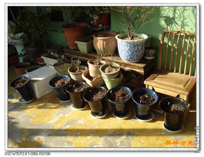 ������С DSC05604.JPG