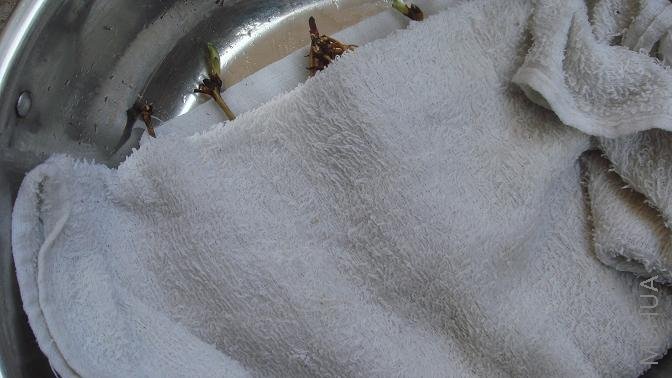 ��ë���Ϸ��� 4..JPG