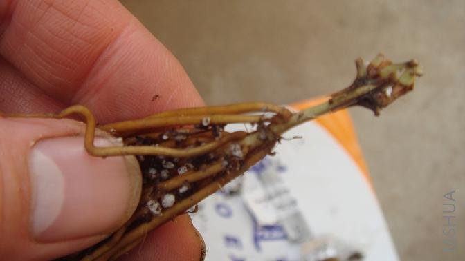 ��8��10-20���׵ĸ���û��ѿ