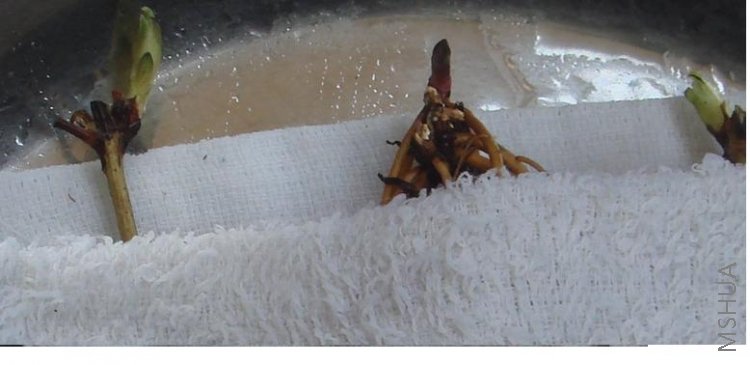 ��ë���Ϸ��� 7.JPG