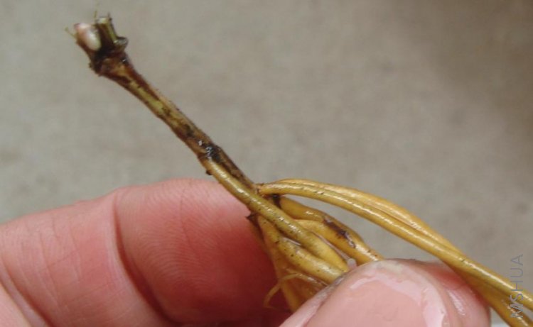 ������  3.JPG