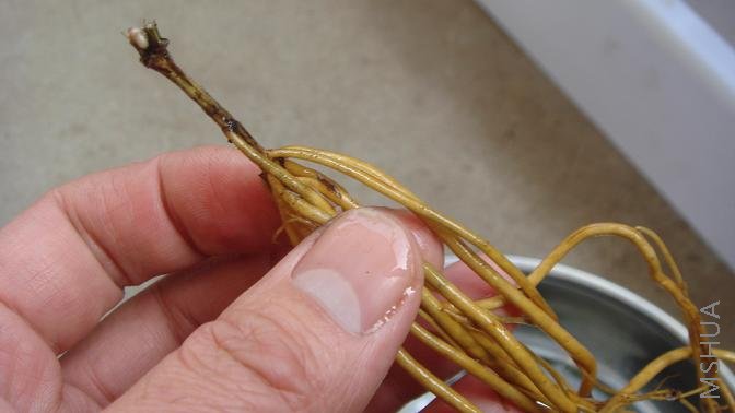 ������  2.JPG