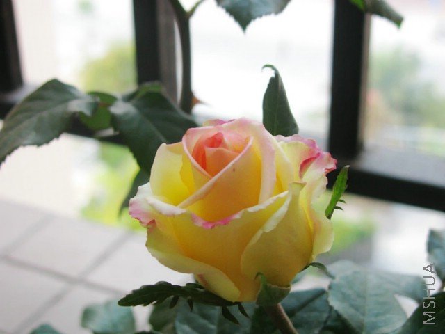 IMG_1418.JPG