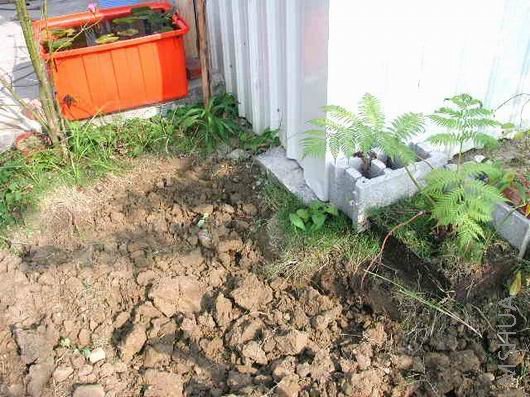 ˮ�رߵ�����