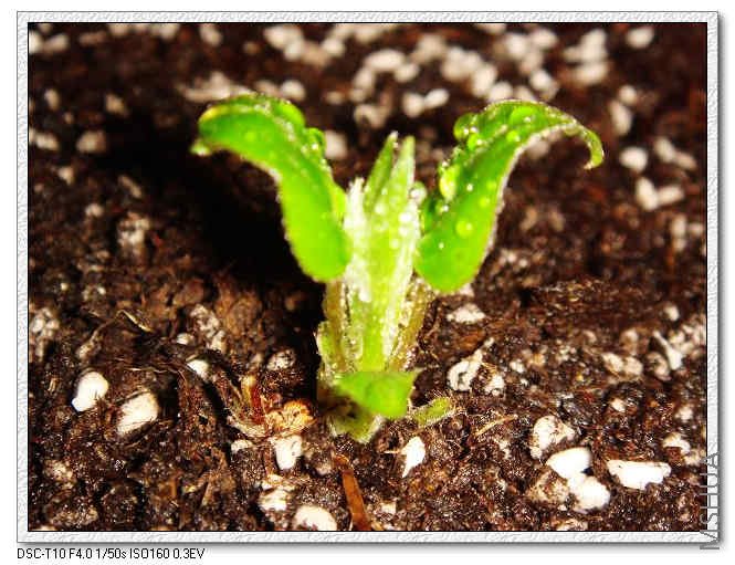 С����B 12.18.jpg