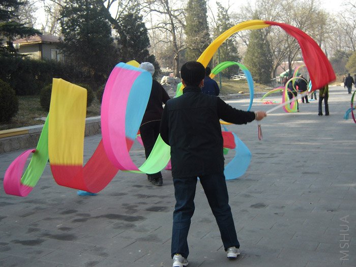 DSC06419.jpg