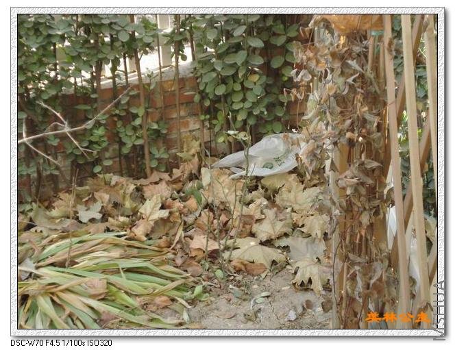 ����Ʈ�䵽�Ҽ�Ժ�ӵ�һ��