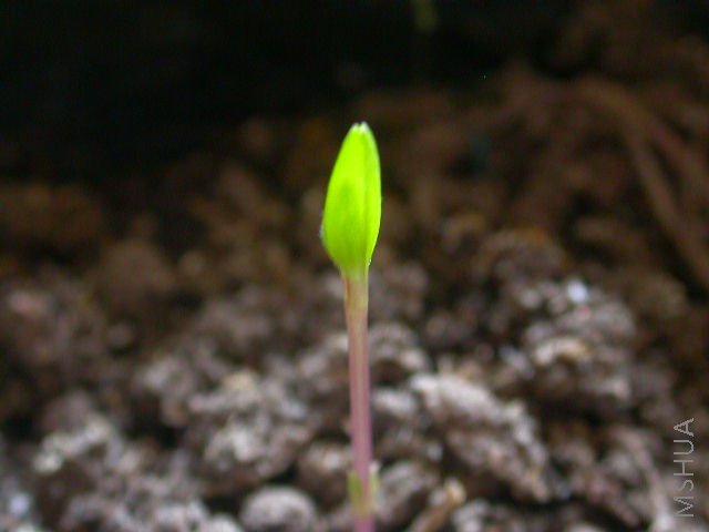 �������Ҫ�ػ��ĳ嶯