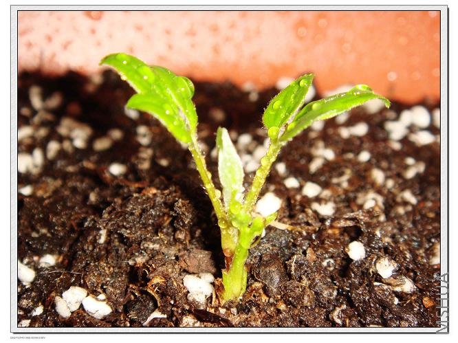 С����A 12.18.jpg