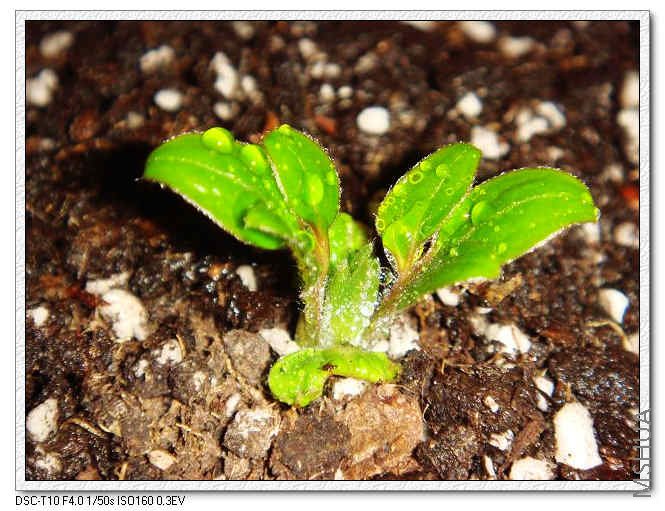 С����D 12.18.jpg