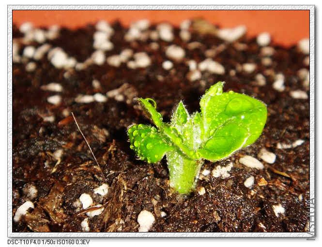 С����C 12.18.jpg