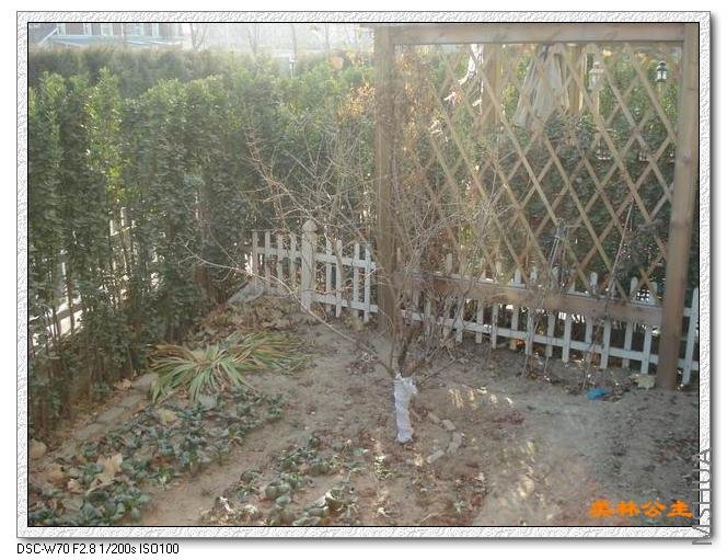 ���Ŵ����ڻ��ܱ���Ȼû�����յ�������