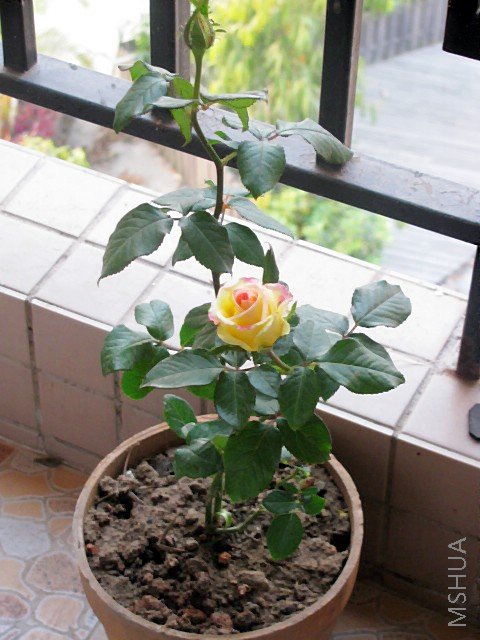 IMG_1425.JPG
