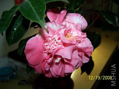 100_0920.JPG