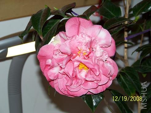 100_0948.JPG