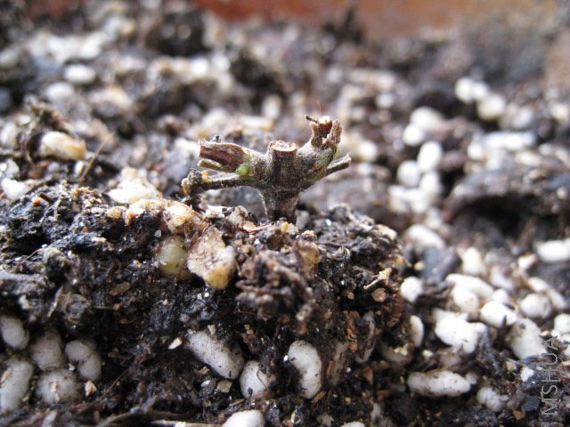 ����һ������ˣ�