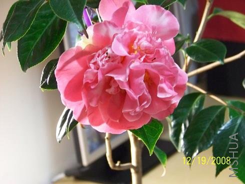 100_0942.JPG