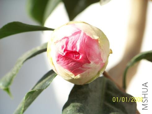 100_0911.JPG