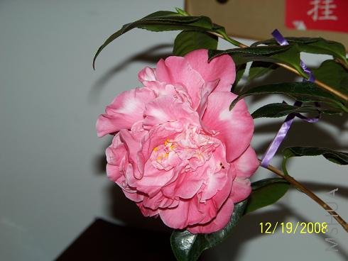 100_0945.JPG