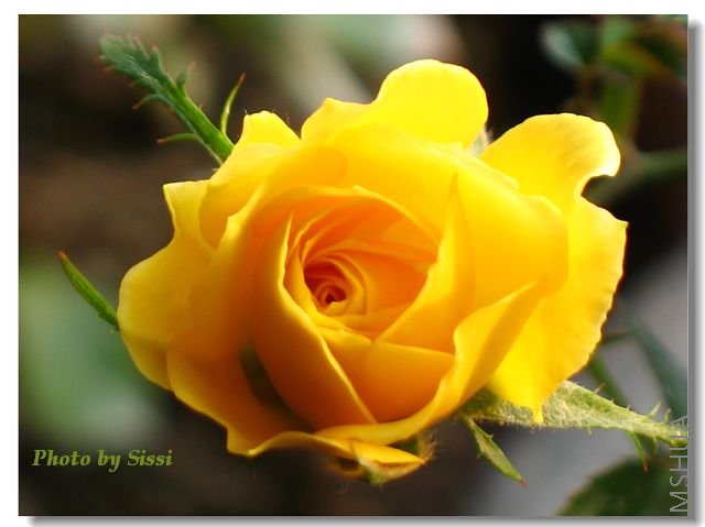 ����ʱ�����ӣ��ܿɰ���~