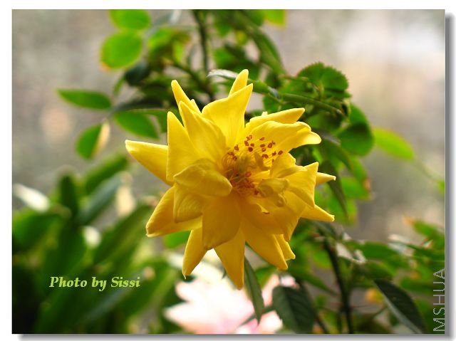 ���⣬����ϲ��������ζ~