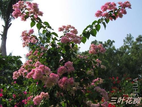 ���� �ذ�����.jpg