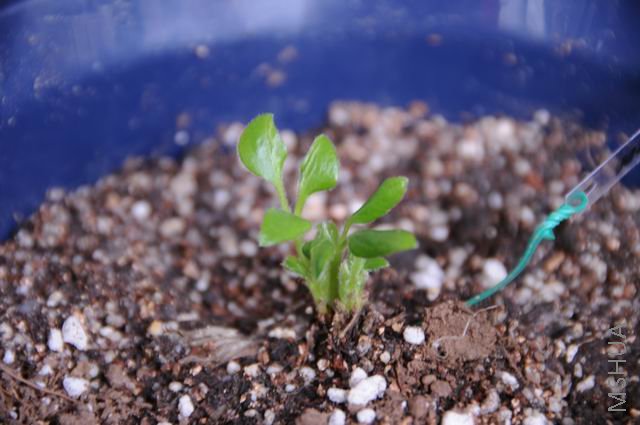 ������С 1221 011.jpg