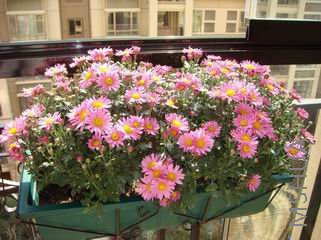 ������С ������С DSC02185.jpg