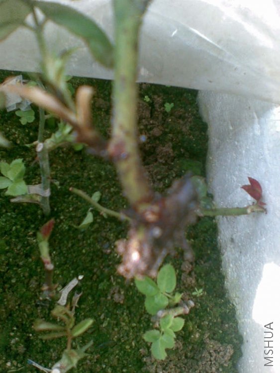 ��ȷ���Ǹ�����ѿ��ĺ�˫ϲ