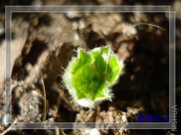 ë���׵ĺÿɰ�����