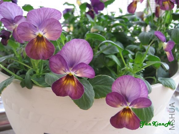 08��12-18 001.jpg