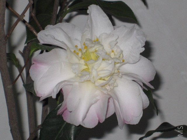 ��Ƭ 023.jpg