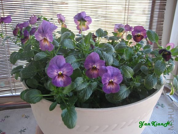 08��12-18 034.jpg