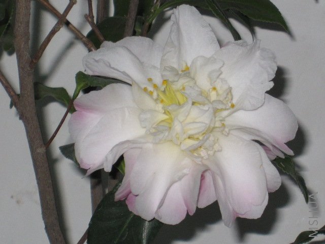 ��Ƭ 028.jpg