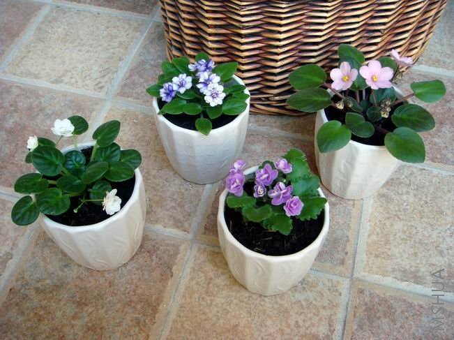 ������С DSC01793_edited.jpg